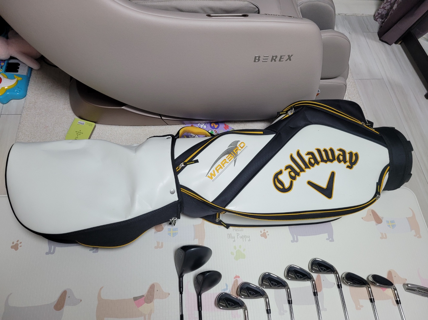 겔러웨이 가방및골프채