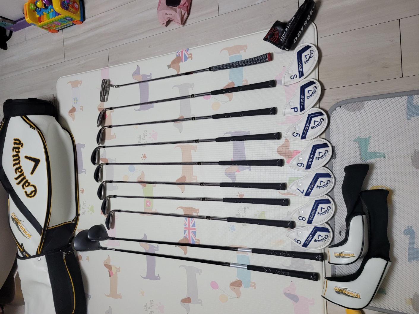 겔러웨이  가방및골프채